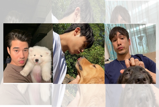 รวมโมเมนต์ หนุ่มๆคนดังกับเจ้าตูบของเค้า