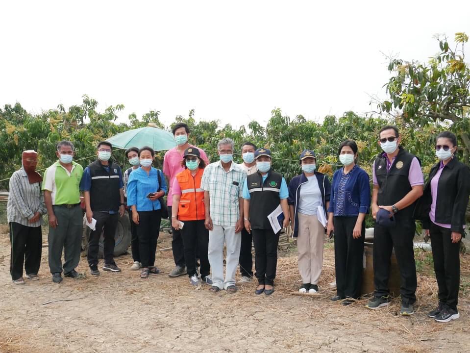 เกษตรแปลงใหญ่สวนมะม่วงเริ่มขาดแคลนน้ำ ด้านเกษตรและสหกรณ์จังหวัดอ่างทองพร้อมประสานทุกภาคส่วนช่วยเหลือ