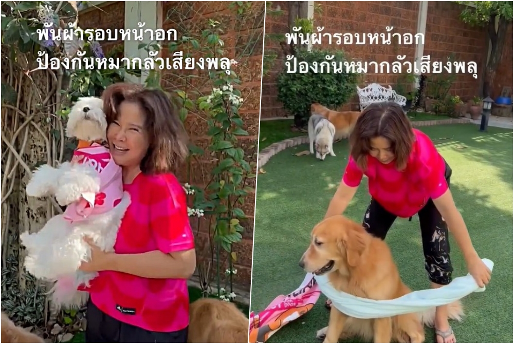 รีบเลย! 'ต๊ะ นารากร' แนะวิธีป้องกัน 'น้องหมา' กลัวเสียงพลุ
