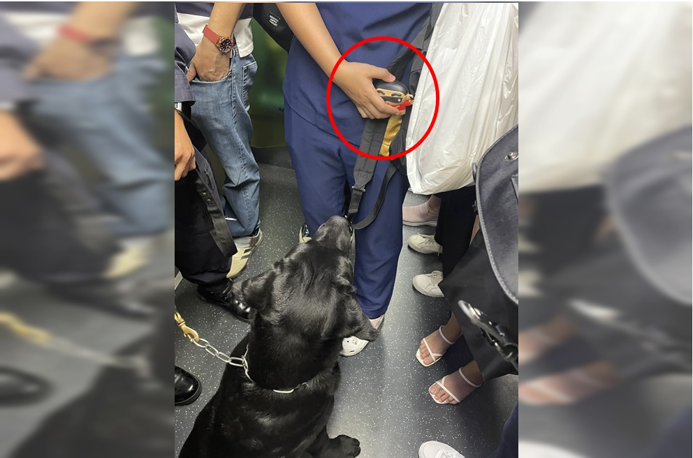 'น้องK9' เจอ 'ชินจัง' เก็บทรงไม่อยู่ ชาวเน็ตแซวสงสัยทำงานวันแรก