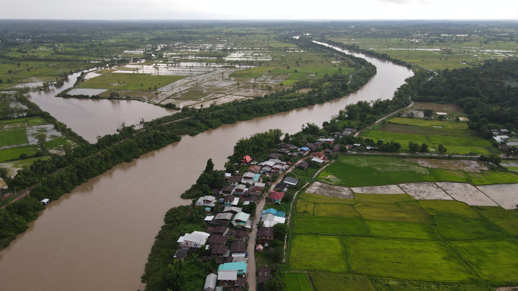 ยโสธร ประกาศเตือนประชาชนเฝ้าระวังสถานการณ์น้ำในแม่น้ำชี อาจส่งผลกระทบพื้นที่การเกษตรเสียหาย