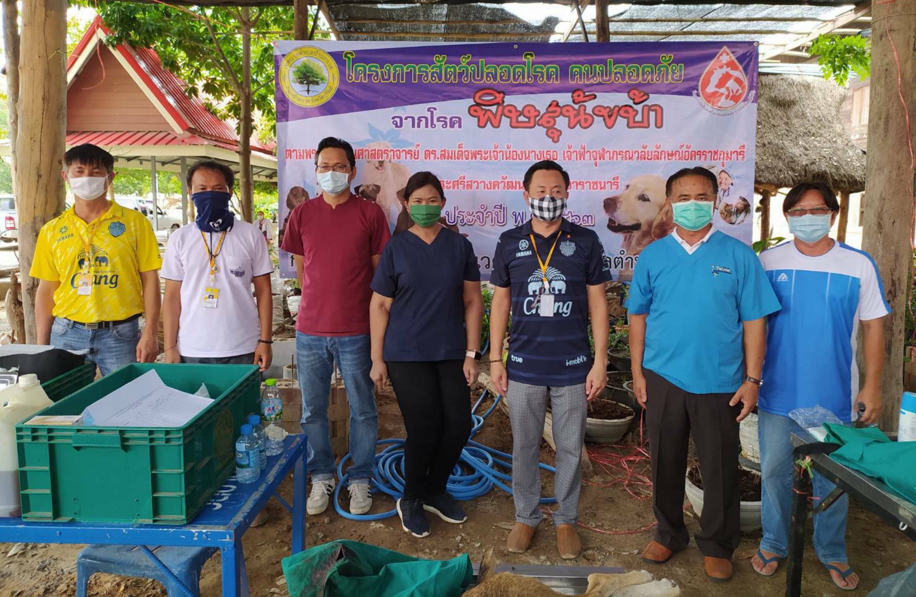 ปศุสัตว์บุรีรัมย์ จับมือ ทต.บ้านกรวด รณรงค์ฉีดวัคซีน ทำหมันสุนัข-แมวฟรี ป้องกันโรคพิษสุนัขบ้า 