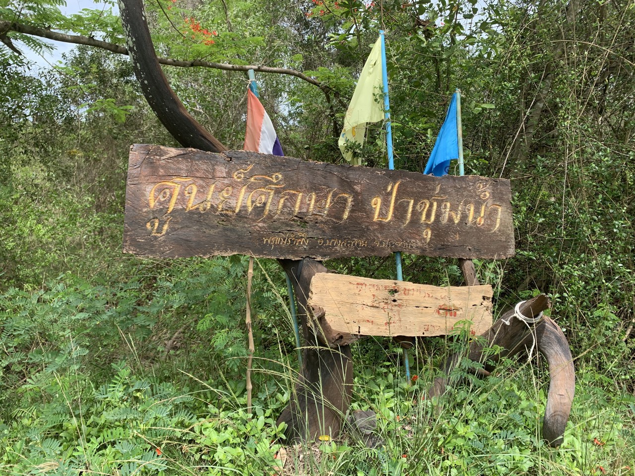 ศาลปค.สูงสุดยกฟ้องปมเอกชนขอเพิกถอนมติครม.เห็นชอบขึ้นทะเบียนพรุแม่รำพึง ประจวบคีรีขันธ์ เป็นพื้นที่ชุ่มน้ำระดับชาติ 