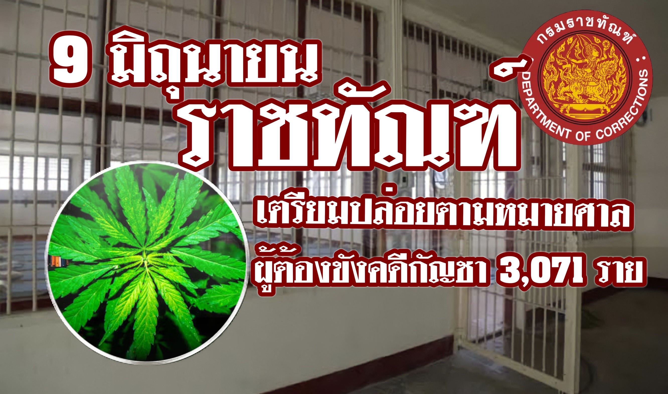 “ราชทัณฑ์" เริ่มปล่อยตัว-เปลี่ยนแปลงโทษผู้ต้องขังตามหมายศาล ในคดีความผิดเกี่ยวกับกัญชา 