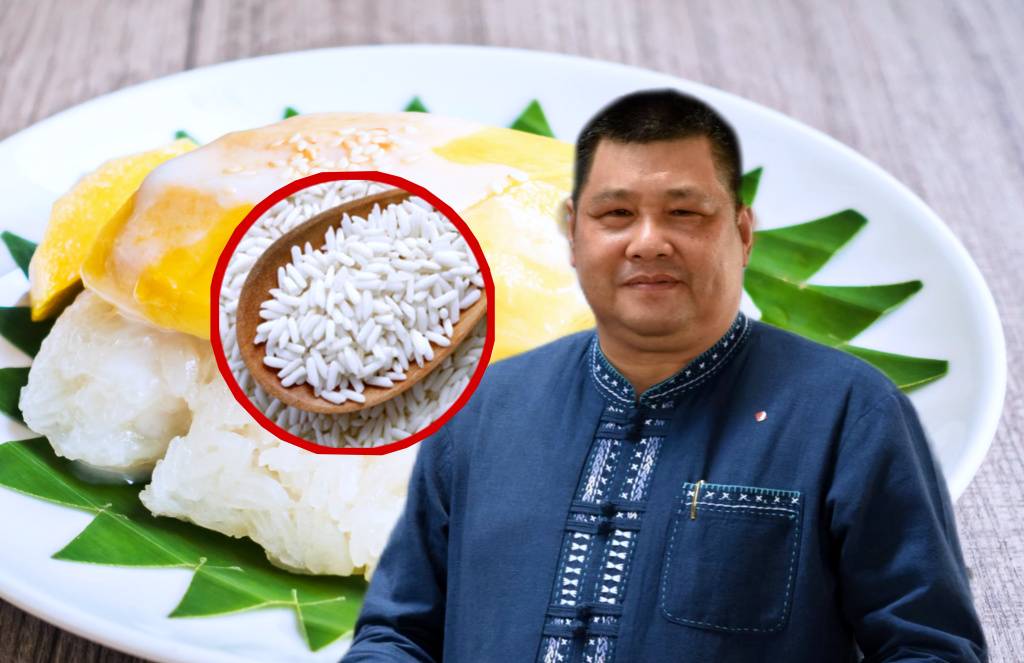 กรมข้าวปลื้ม! "มิลลิ" จุดกระแส "ข้าวเหนียวมะม่วงฟีเวอร์" ช่วยชาวนาขายข้าวเหนียวได้ดีขึ้น