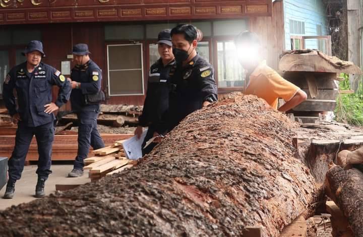 ชุดพยัคฆ์ไพรลงพื้นที่ขยายผลตรวจสอบกรณีไม้เข้ามาซุกซ่อนและทำการแปรรูปในพื้นที่อำเภอโพทะเล พิจิตร 