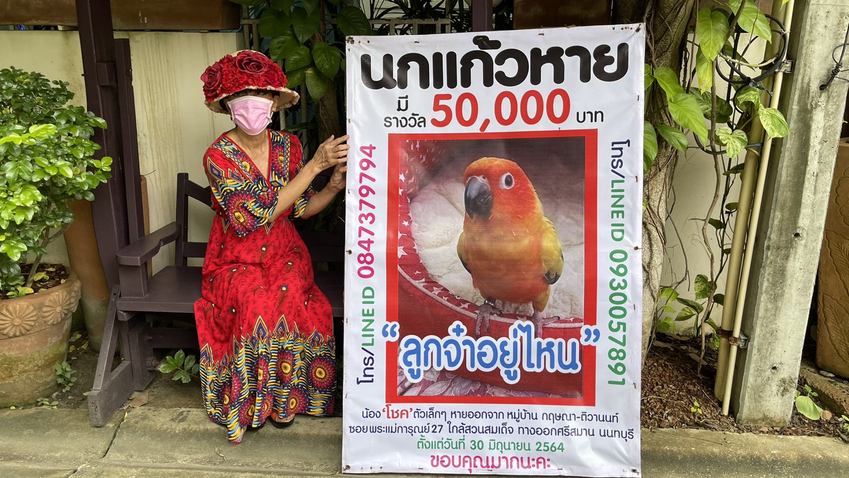 สาวใหญ่ติดป้ายประกาศตามหา นกแก้ว ตั้งรางวัลครึ่งแสนพร้อมตระเวนติดป้ายกว่า 100 ใบ ทั่วเมือง