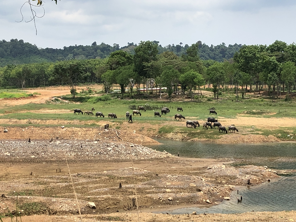 ชลประทานตราด เผยน้ำในอ่างเก็บน้ำ 7 แห่ง น้ำเหลือน้อยมาก หวั่นกระทบภัยแล้งระยะยาว 