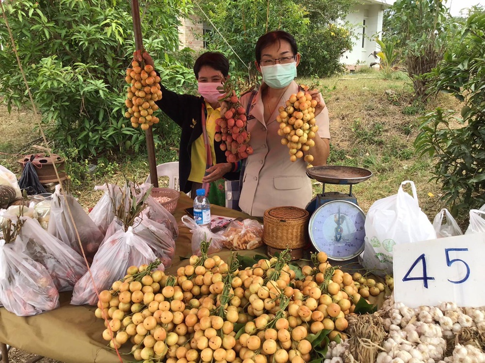 พช.แม่สอด ตามผลงานพัฒนาหมู่บ้านเศรษฐกิจพอเพียง ส่งเสริมอาชีพ รายได้ ธุรกิจและการท่องเที่ยวในชุมชน
