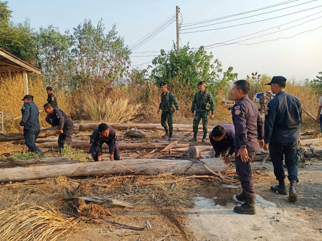 เจ้าหน้าที่บุกไร่ทวี ไกรคุปต์ ยึดโรงแปรรูปไม้และจระเข้กว่า 1,000 ตัว พร้อมแจ้งความเอาผิด