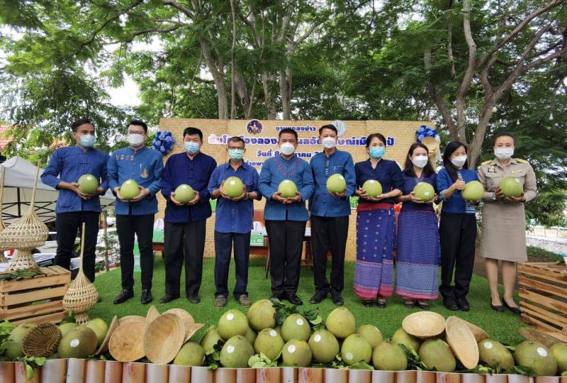 พ่อเมืองแพร่ผลักดันส้มโอ​พันธุ์ขาวน้ำผึ้งสู่สินค้าอัตลักษณ์ GI  