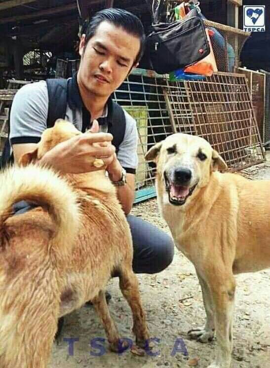 อัตราเปรียบเทียบปรับกรณีทารุณกรรมสัตว์กับการทำร้ายร่างกายผู้อื่น