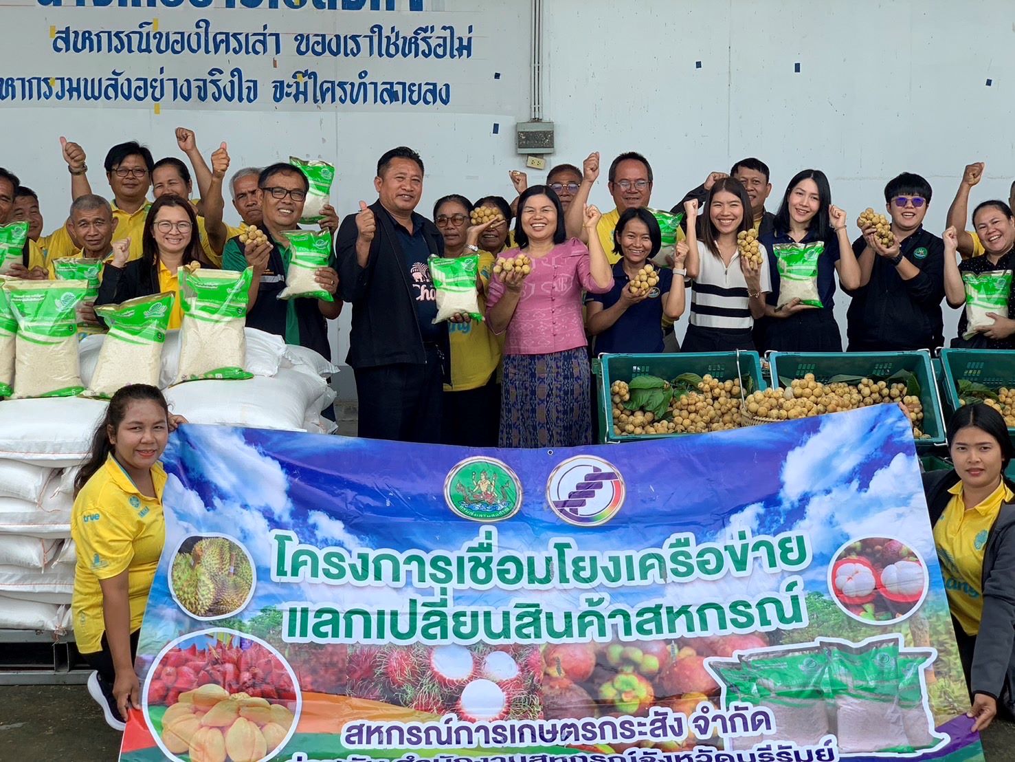 สหกรณ์กระสังบุรีรัมย์นำข้าวหอมมะลิ 100% แลกลองกองตันหยงมัสคัดคุณภาพสงขลาเชื่อมโยงเครือข่ายสินค้า