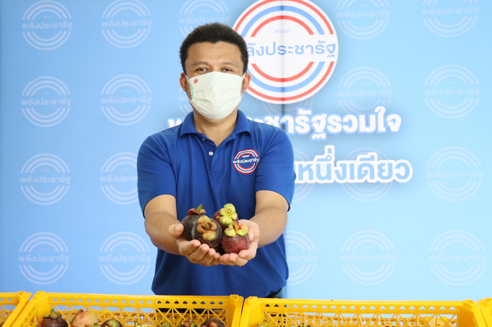 พปชร. ช่วย 2 ต่อ ฝ่าวิกฤติโควิดรับซื้อมังคุดชาวสวนใต้  ขณะที่ ส.ส.จักรพันธ์ ระดมทีมงานเขตกทม.แจกจ่ายให้ชุมชน