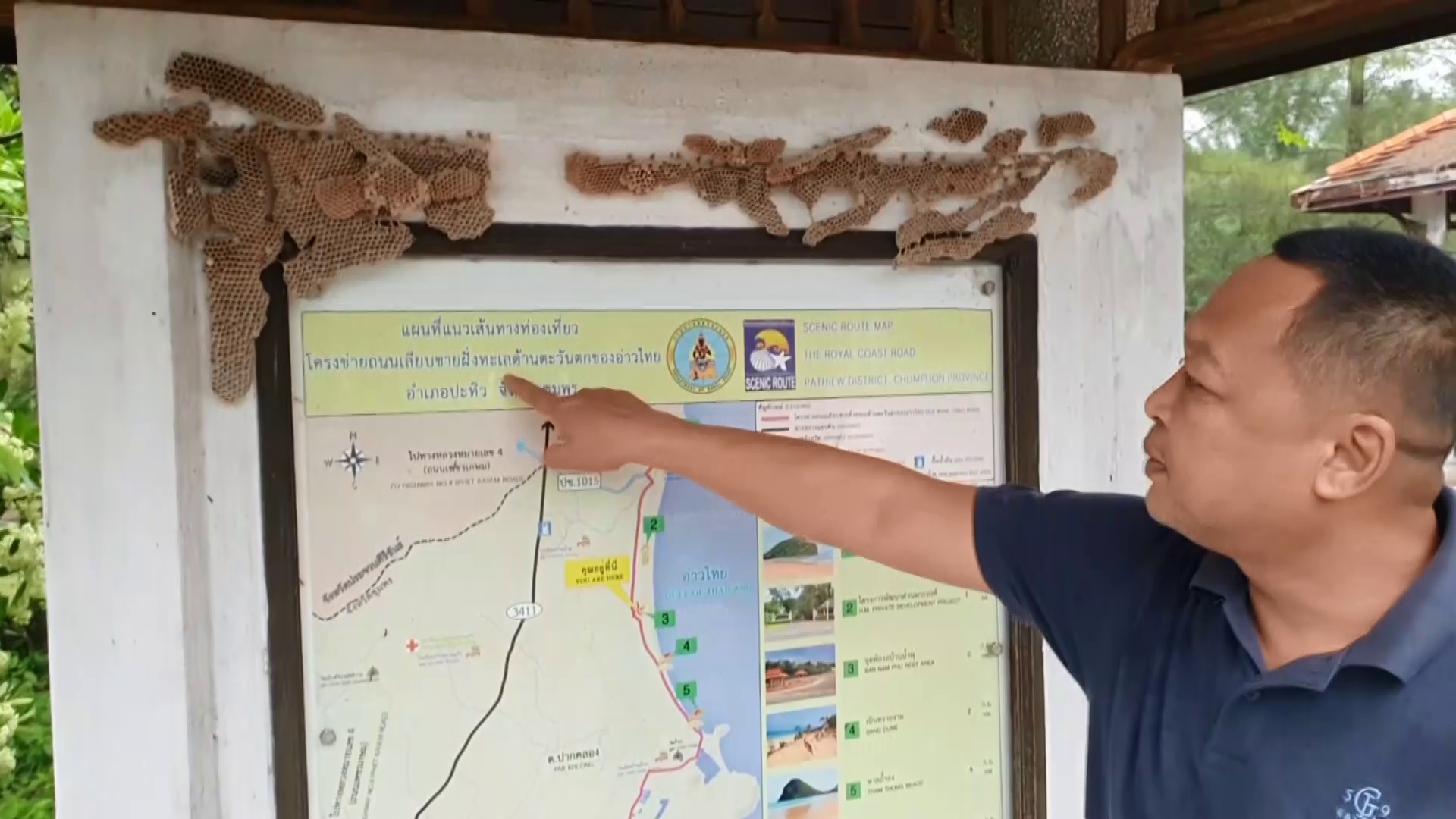 โวยศูนย์ข้อมูลท่องเที่ยว จุดพักรถ เลียบชายฝั่งทะเลชุมพร  ปล่อยร้างกลายเป็นแหล่งเพาะพันธุ์รังแตน