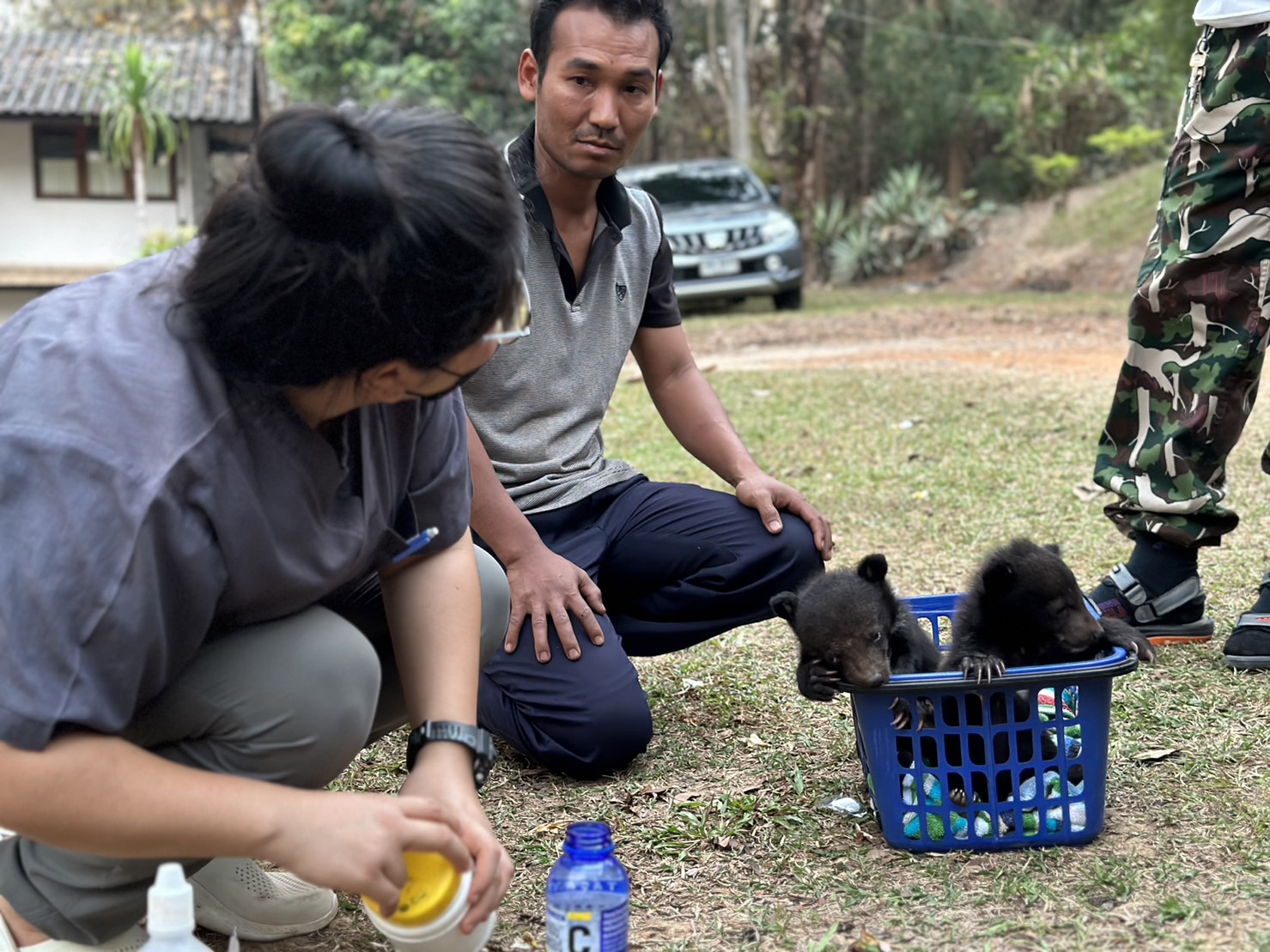 ป่าไม้แม่ฮ่องสอน-ทหาร ร่วมจับกุมผู้อพยพในศูนย์พักพิงฯบ้านใหม่ในสอย ครอบครองลูกหมีควาย 2 ตัว 
