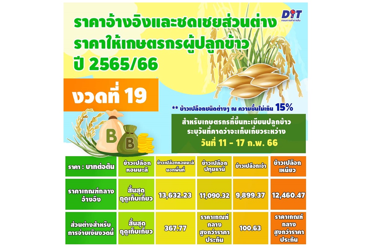 พาณิชย์เคาะประกันรายได้ข้าวงวด 19 แล้วจ่าย 22 ก.พ.นี้