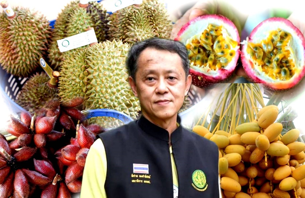 มกอช.จ่อคลอดมาตรฐานบังคับ แก้ทุเรียนด้อยคุณภาพ ป้องกันสวมสิทธิ์ผลไม้ไทยส่งออกจีน