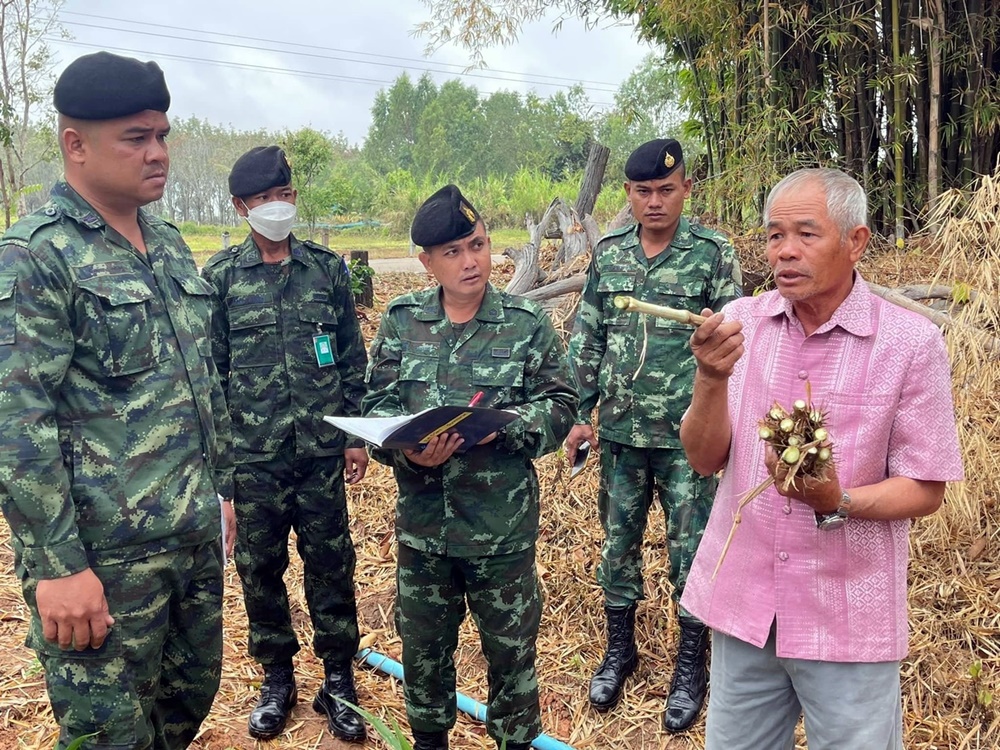 ทหารพันธุ์ดี มทบ.25 ฝึกอาชีพปลูกหญ้าเนเปียร์เลี้ยงสัตว์ สร้างอาชีพกำลังพลหลังปลดประจำการ 