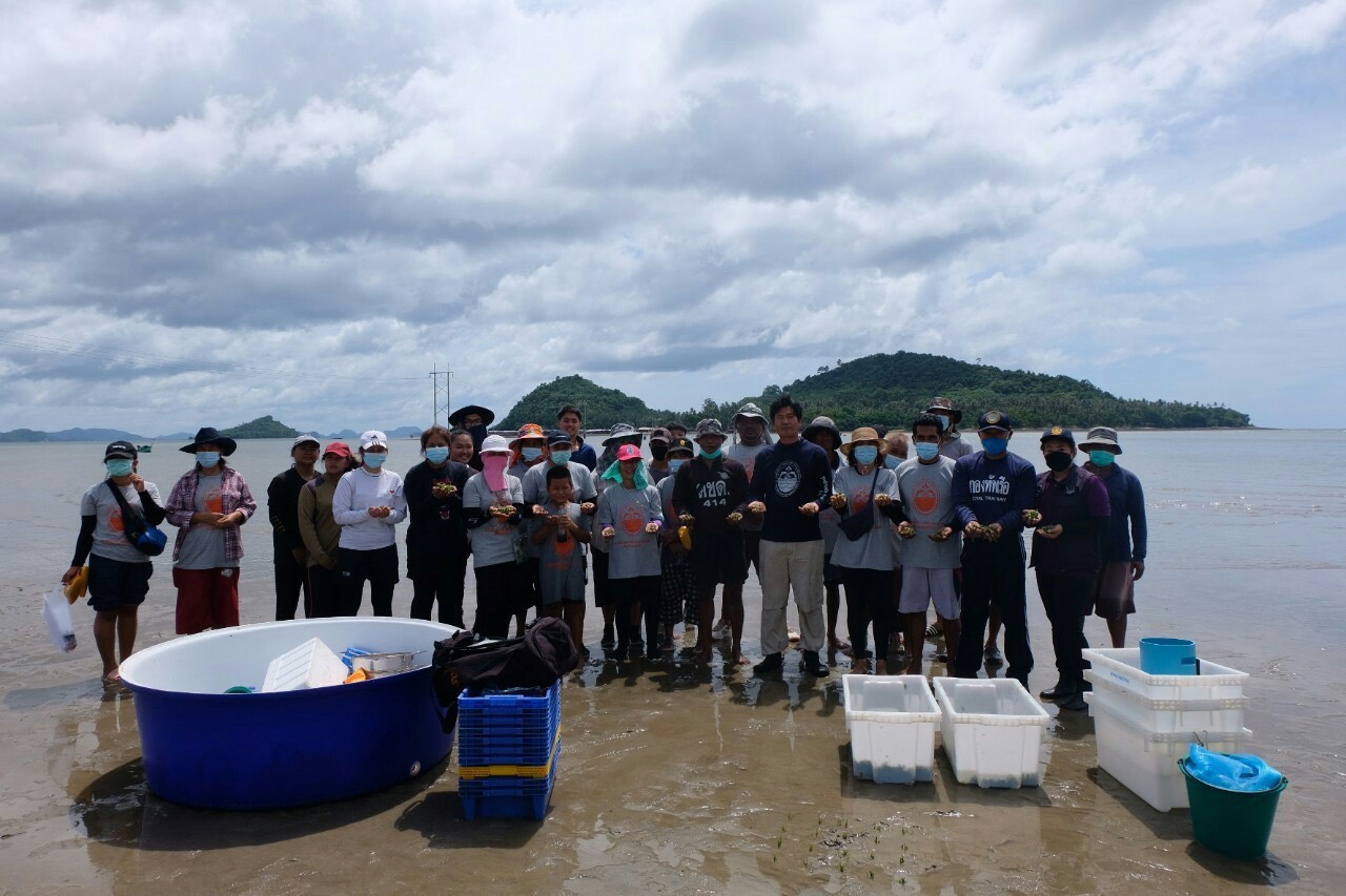 ศรชล.บูณาการหน่วยงานปลูกหญ้าทะเล 6,500 ต้น