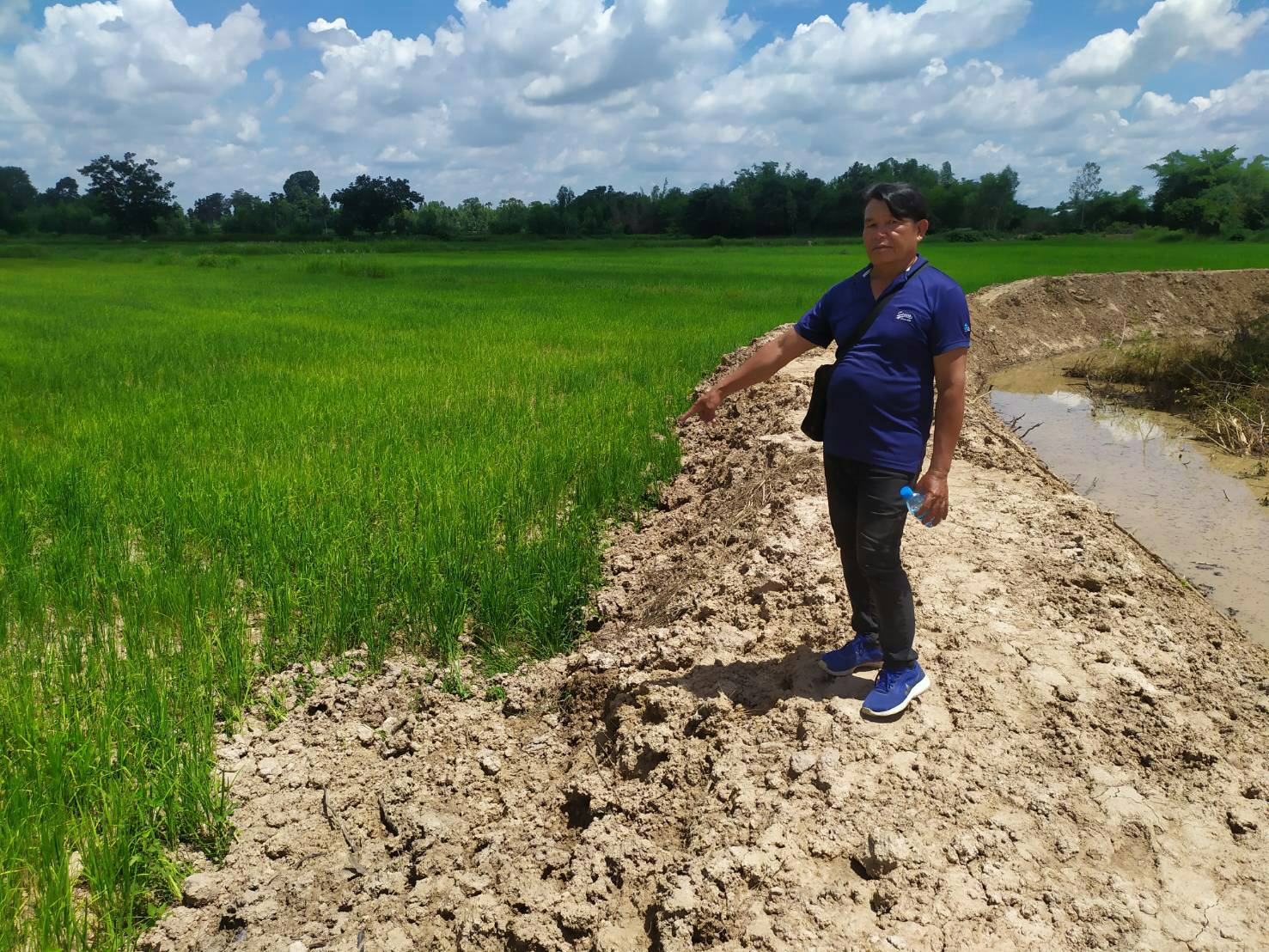 ยโสธรชาวบ้านโวยถูกผู้รับเหมาขุดลอกลำห้วยถมนาข้าวเสียหาย