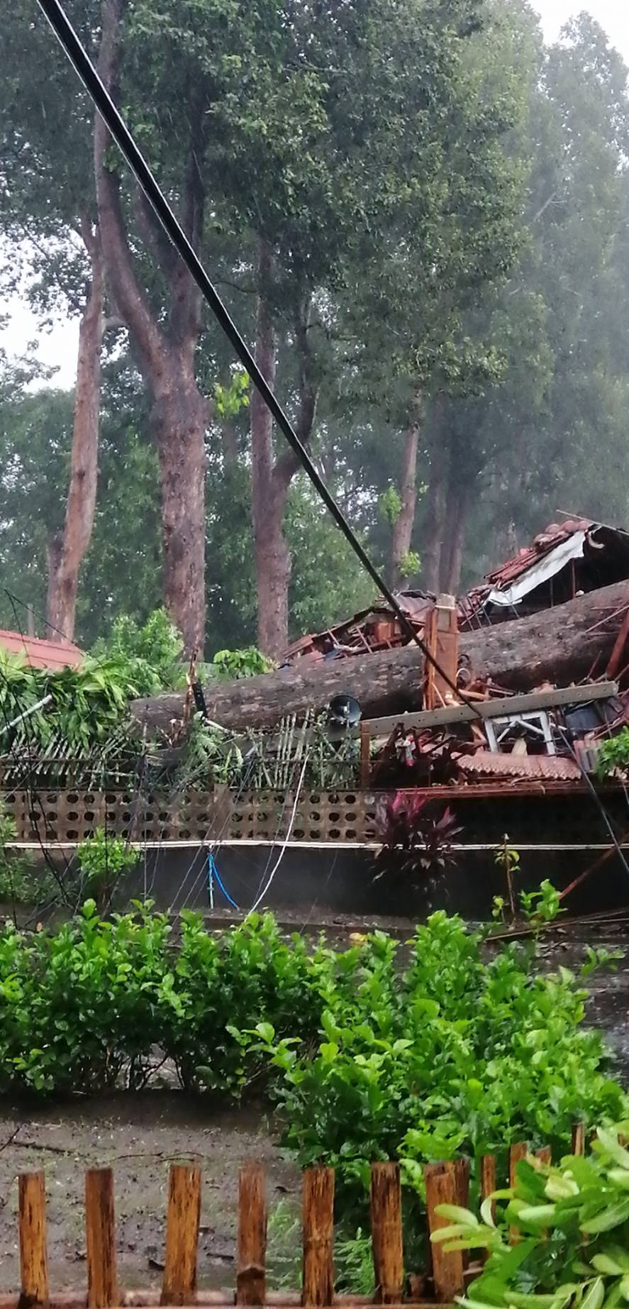 พายุฝนถล่มเชียงใหม่ต้นยางนา สารภีล้มทับถนนบ้านเรือนเสียหายหนัก