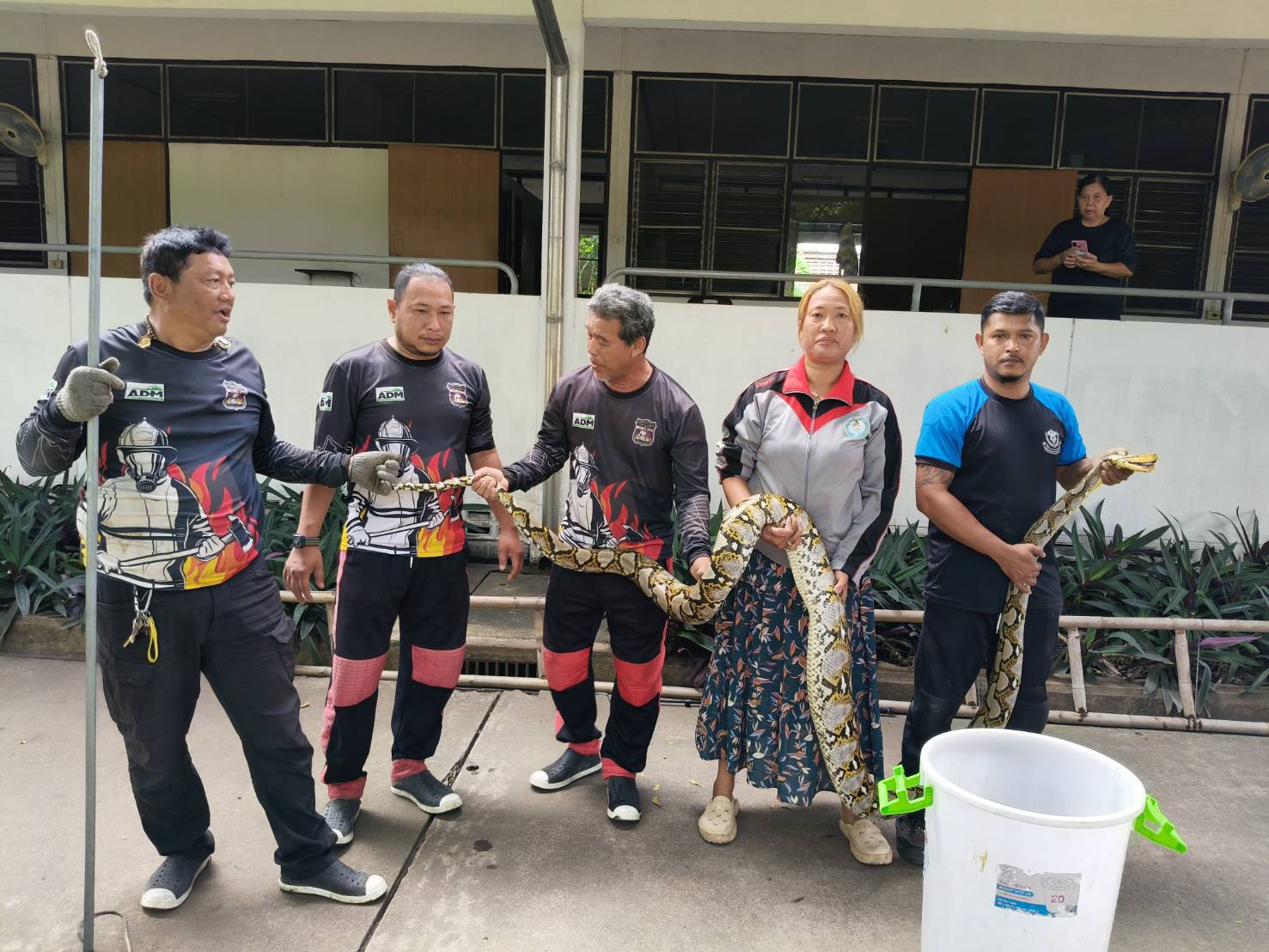 ปทุมธานีกู้ภัยเสี่ยงตาย ปีนต้นไม้จับงูเหลือมยาวกว่า 5 เมตร