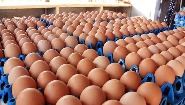 ไม่ขึ้นราคาไข่ไก่! คน.เร่งหารือผู้ผลิต-ค้าส่งค้าปลีก ย้ำผลผลิตเพียงพอ ผปก.จัดโปรฯลดค่าครองชีพ