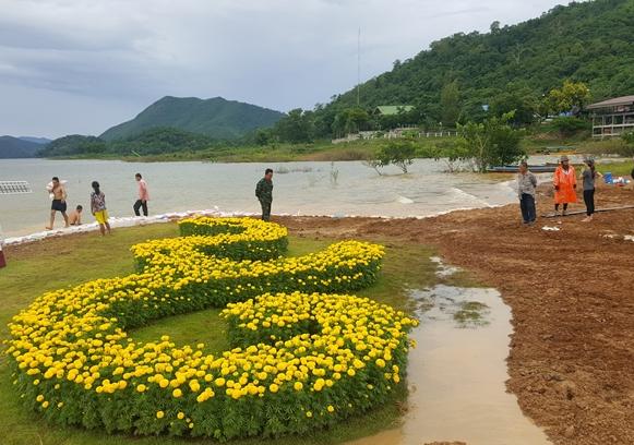 กำนันแก่งกระจานปลูกดอกดาวเรืองถวายในหลวง ร.9