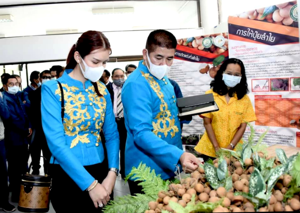 “ธรรมนัส” เร่งผลักดันช่วยชาวสวนลำไย จากผลกระทบโควิด-19