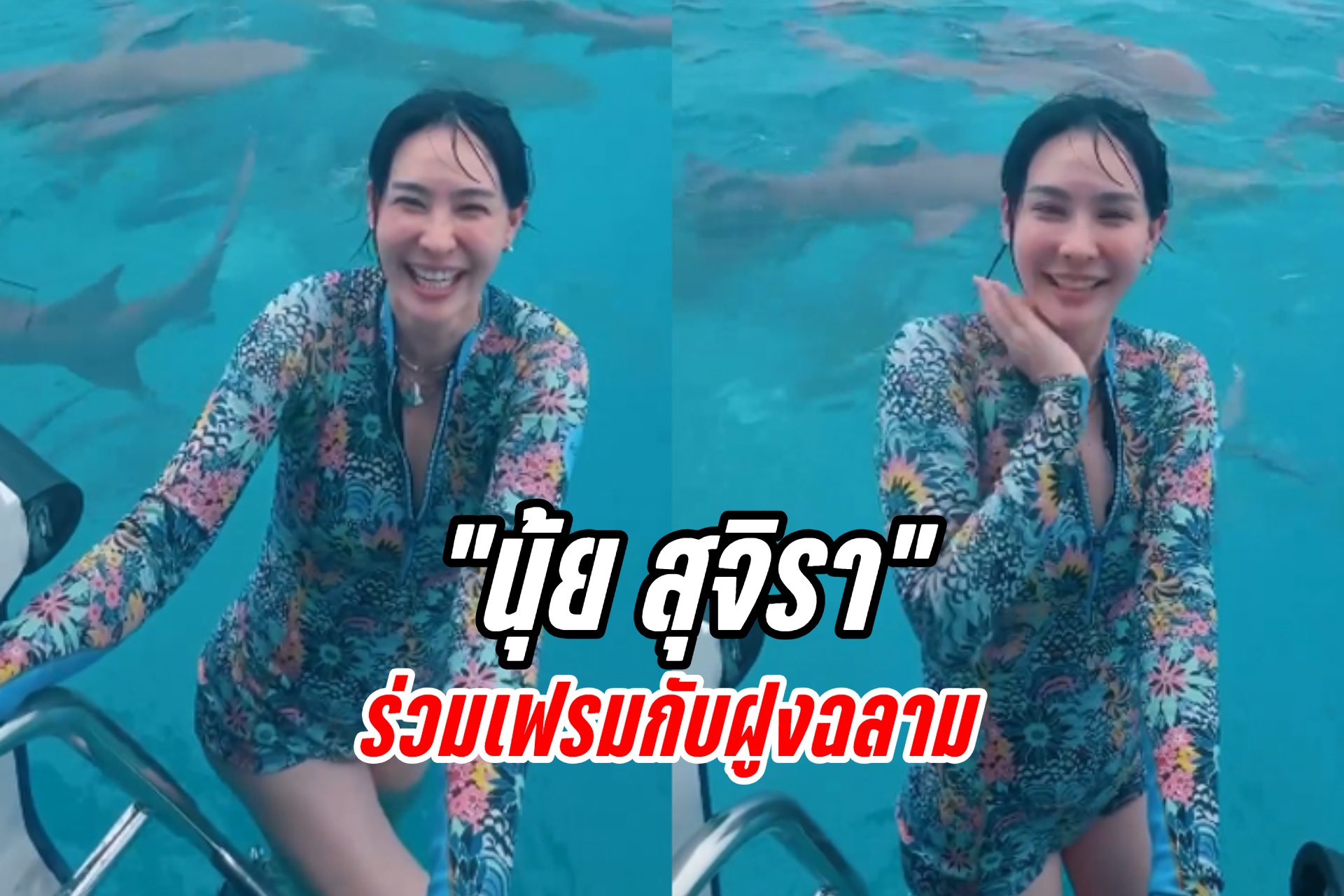 "นุ้ย สุจิรา" ร่วมเฟรมกับฝูงฉลาม ช็อตสุดท้ายเสียวขาจนขนลุก