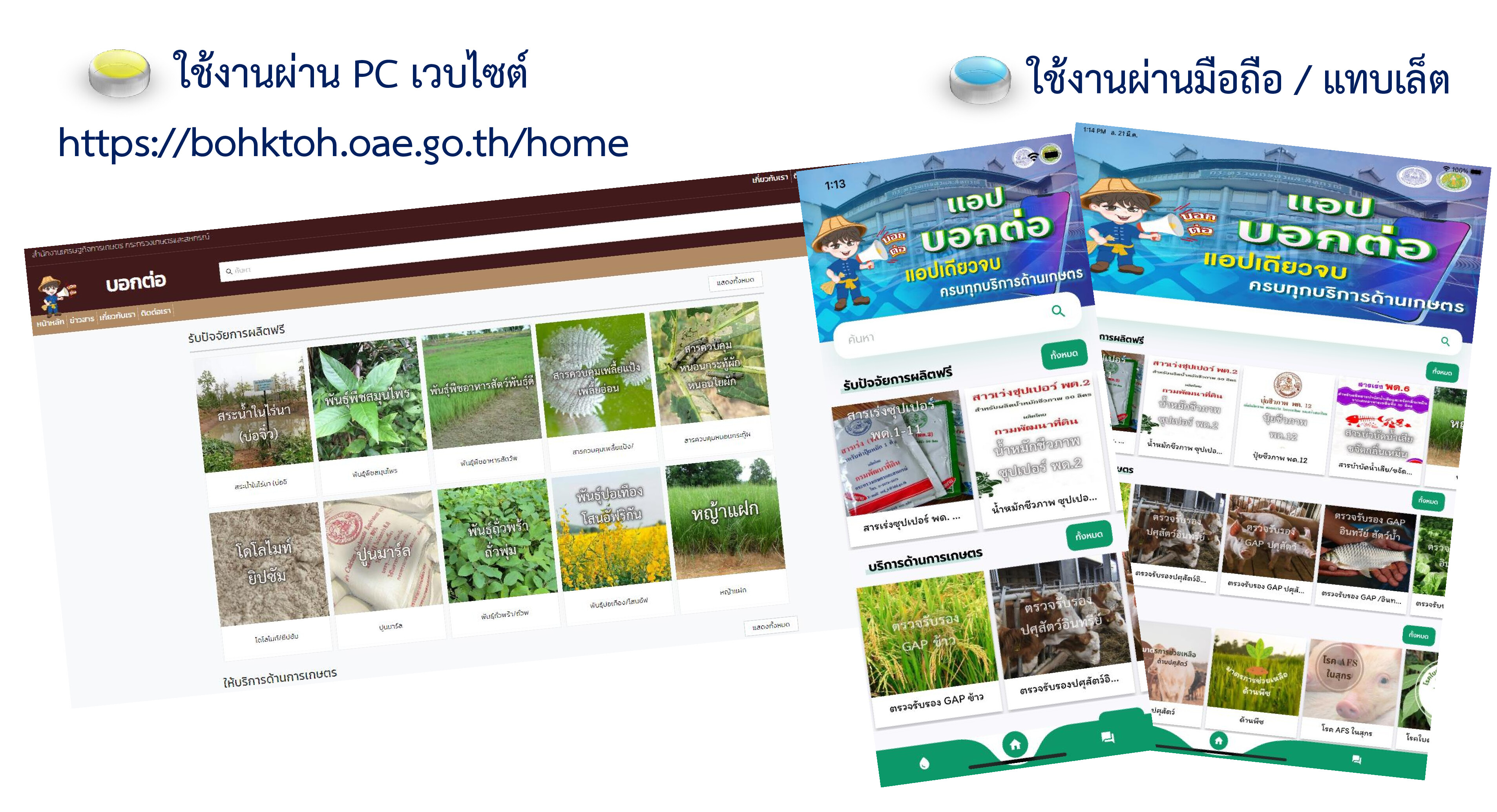 เปิดตัวแอป "บอกต่อ" แหล่งรวมศูนย์บริการแอปเดียวจบ ครบทุกบริการด้านเกษตร