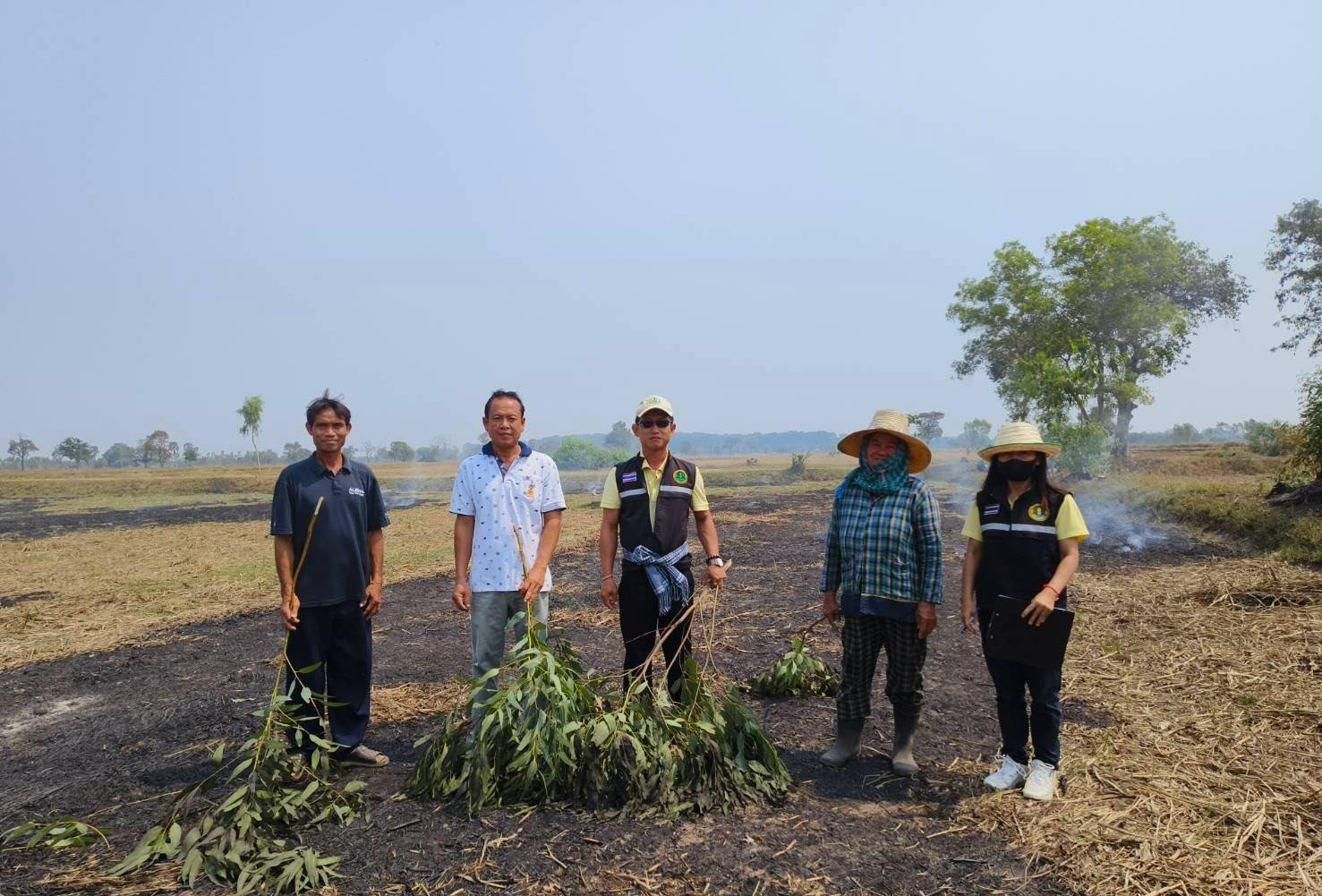 เกษตรอำเภอมหาชนะชัยลงพื้นที่สำรวจจุดความร้อนและดับไฟไหม้เศษฟางข้าว ในพื้นที่ตำบลคูเมืองและพระเสาร์