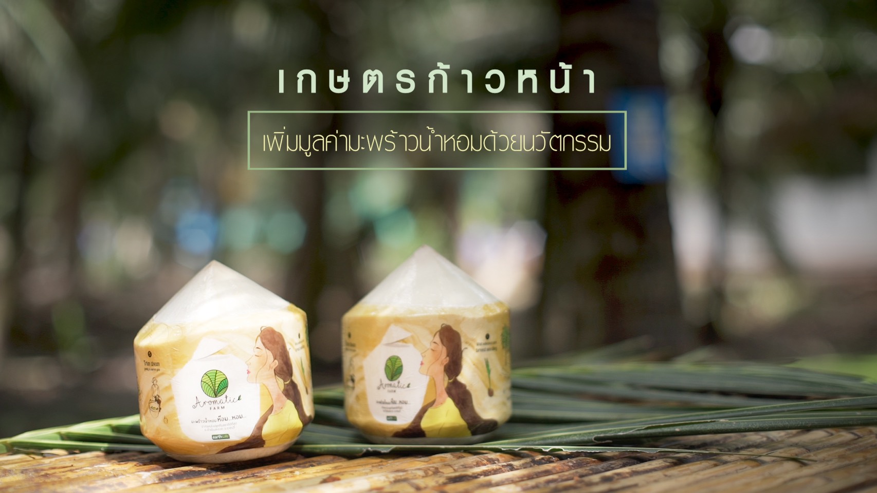 ‘Aromatic Farm’สวนมะพร้าวน้ำหอมอินทรีย์ สร้างมูลค่าเพิ่มให้มะพร้าวน้ำหอมด้วยนวัตกรรมทางภูมิปัญญา