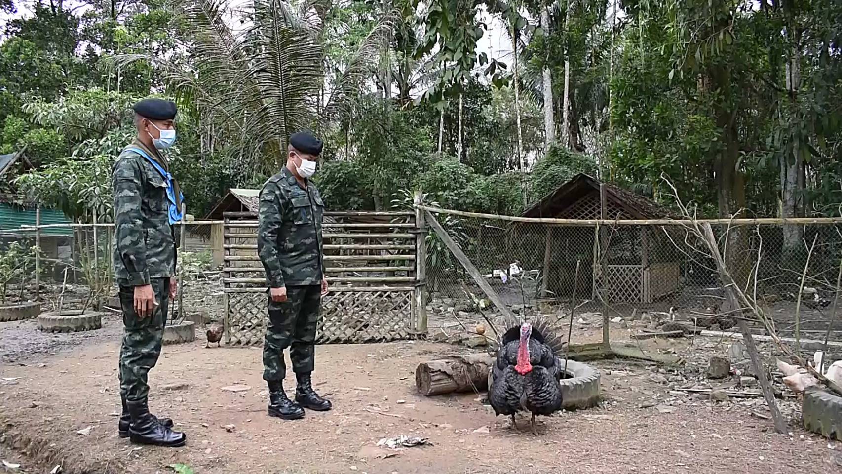 ทหารวางปืนทำเกษตรผสมผสานนำผลผลิตขายชาวบ้านราคาถูกช่วงวิกฤติโควิดระบาด