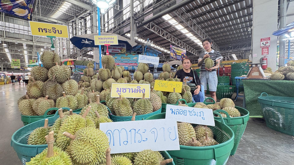 ตลาดสี่มุมเมืองจัด “ทุเรียน EXPO 2026” ย้ำศูนย์กลางค้าส่ง 24 ชม. ดันไทยสู่ฮับทุเรียน