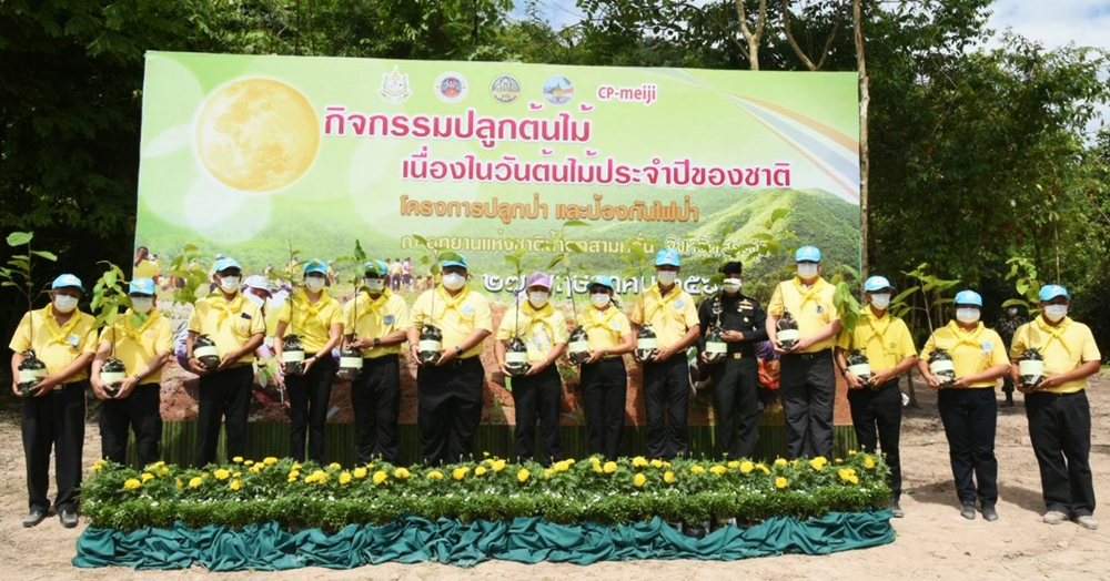 ซีพี-เมจิ ผนึกกำลังกรมอุทยานแห่งชาติฯ และจ.สระบุรี เพิ่มพื้นที่สีเขียว ฟื้นป่าต้นน้ำ