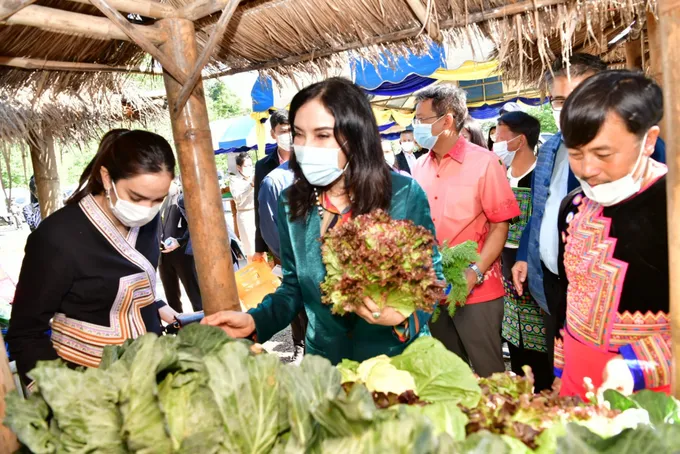 "มนัญญา" ปลื้ม! สหกรณ์เพชรบูรณ์ส่งเสริมสมาชิกปลูกผักรายได้งาม หนุนขยายตลาดเพิ่ม