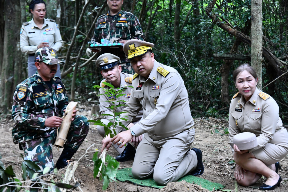 "สุชาติ ชมกลิ่น" ร่วมพิธีบวงสรวงตัดไม้จันทน์หอม ณ อุทยานแห่งชาติกุยบุรี เพื่อจัดสร้างพระโกศและพระหีบ ในงานพระราชพิธีถวายพระเพลิงพระบรมศพ 