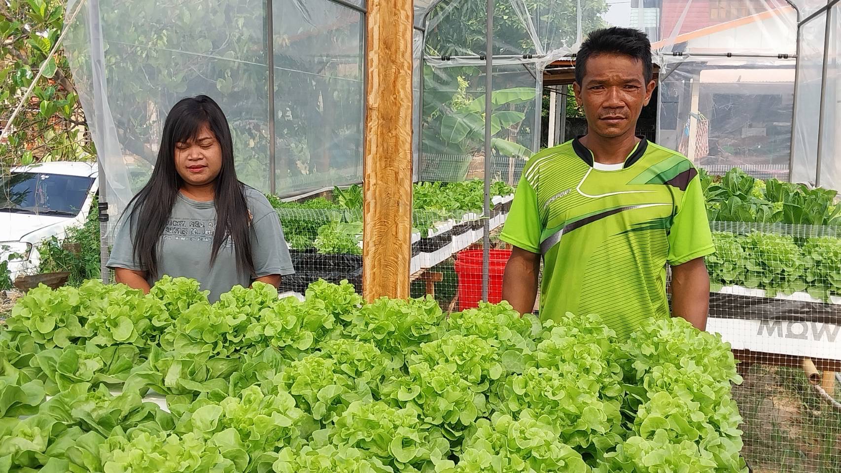 สุรินทร์ ครอบครัวพอเพียงปลูกผักปลอดสารเคมีไว้กิน  ชาวบ้านทราบข่าวมาขอซื้อมีรายได้ตกเดือนละหลายพันบาท 