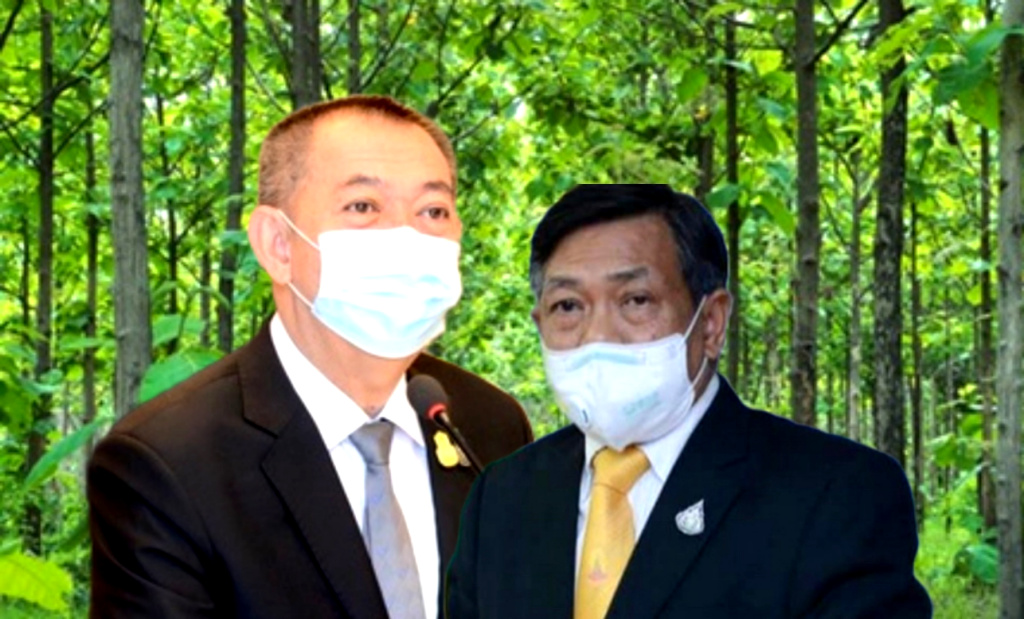 ฝ่าวิกฤตโควิด!! สั่งลุย "Green Bank" ใช้ไม้ยืนต้นเป็นหลักทรัพย์ค้ำประกันสินเชื่อ