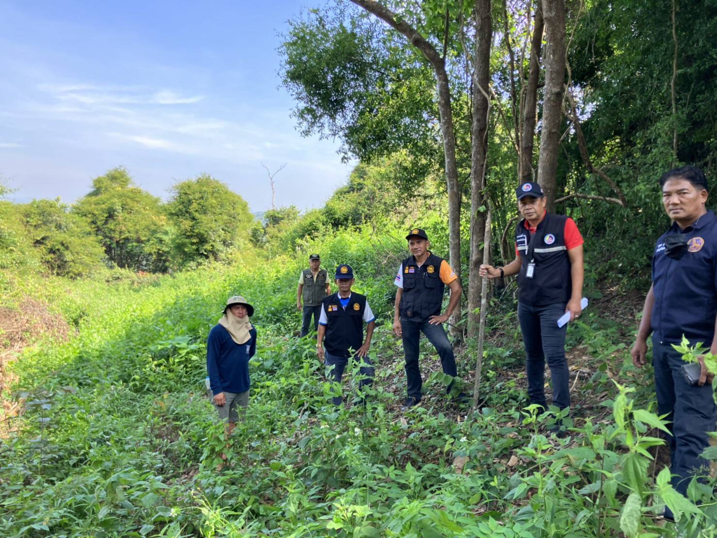  กอ.รมน.ชุมพรสนธิกำลังเข้าตรวจสอบนายทุนลักลอบโค่นป่าต้นน้ำปลูกปาล์มในพื้นที่ตำบลสลุย 