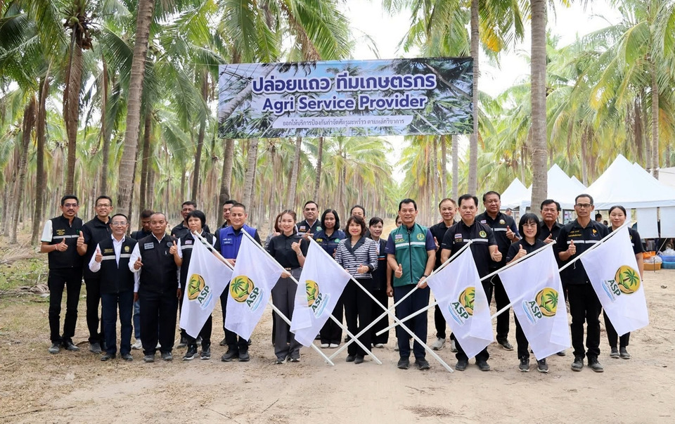 ประจวบฯ เปิดศึกศัตรูมะพร้าว เดินเกม “เจาะต้น–พ่นใบ–แตนเบียน” กู้ผลผลิต