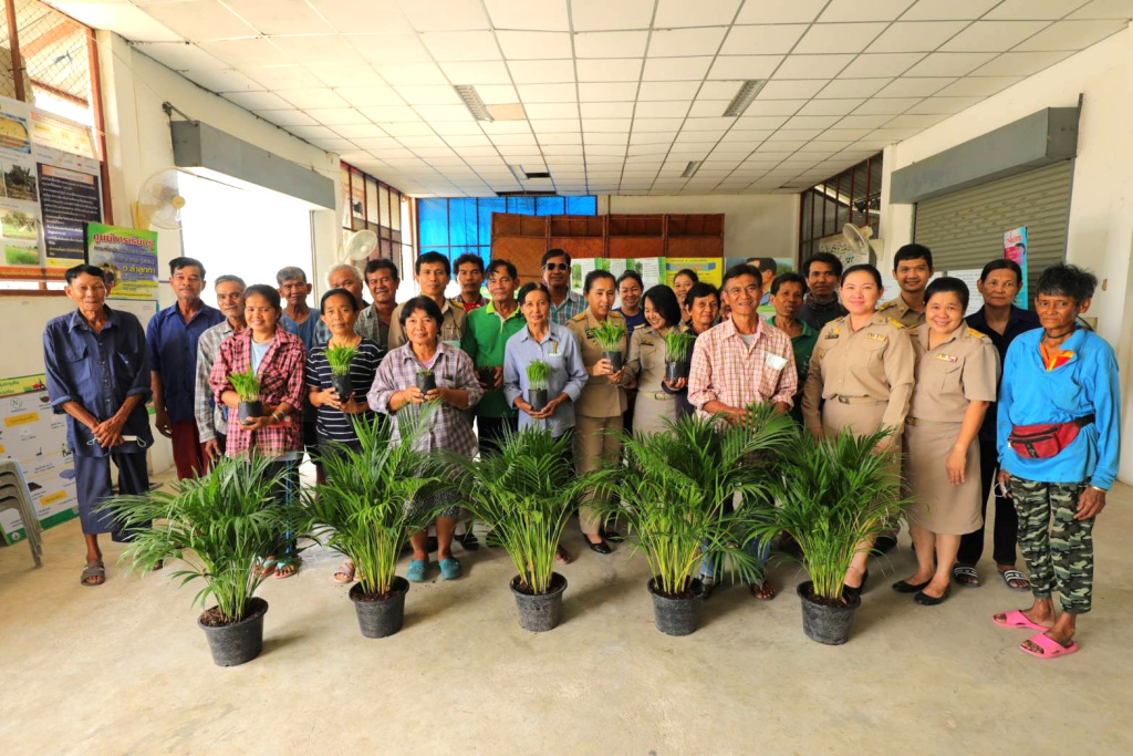 เกษตรปทุมฯ ชูแปลงใหญ่หมากเหลือง ต.บึงทองหลาง ส่งเสริมพัฒนาหมากเหลืองคุณภาพ สร้างรายได้สู่ชุมชน 