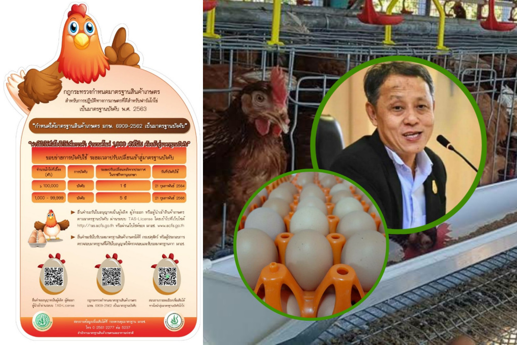มกอช.​ ลุยดันฟาร์มไก่ไข่สู่มาตรฐานบังคับ เปิดทางตลาดไข่ไก่ต่างประเทศ