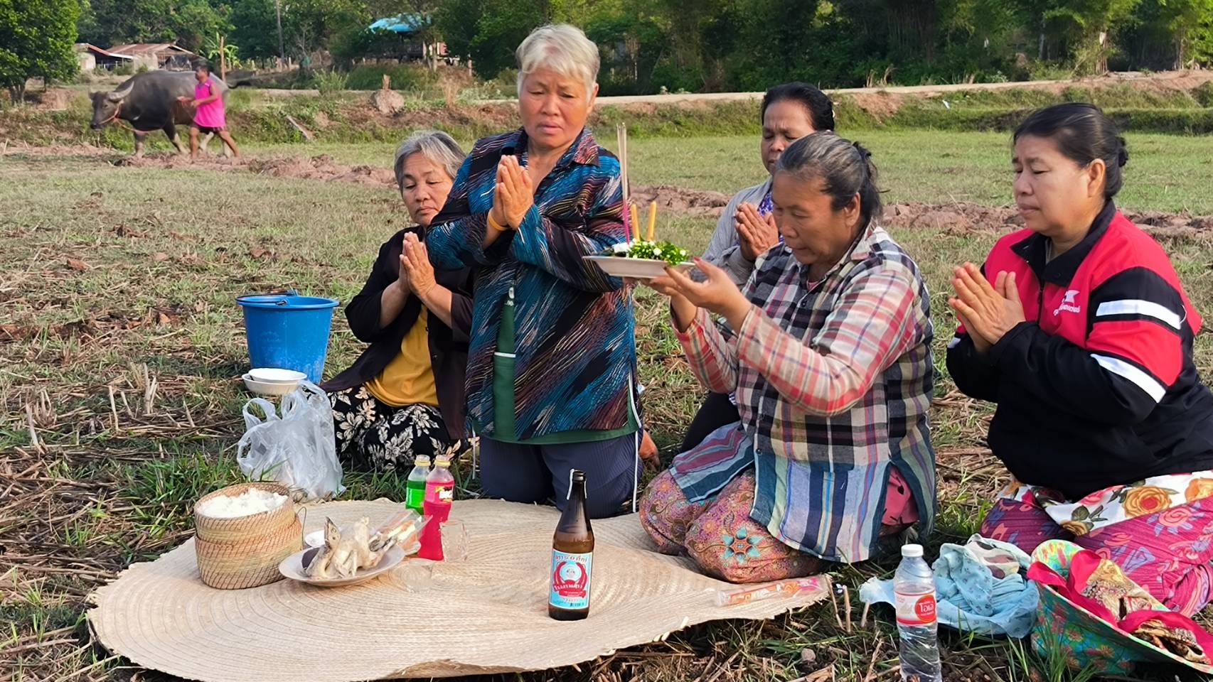 ชาวนายโสธร ถือฤกษ์วันพืชมงคลทำพิธีแรกนาก่อนลงมือทำนาปลูกข้าว