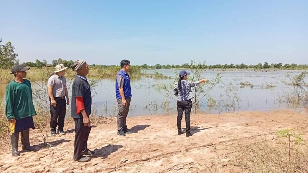 ยโสธร 5 ตำบล 17หมู่บ้านอำเภอป่าติ้วประสบอุทกภัยพื้นที่การเกษตรเสียหาย7.3 พันไร่