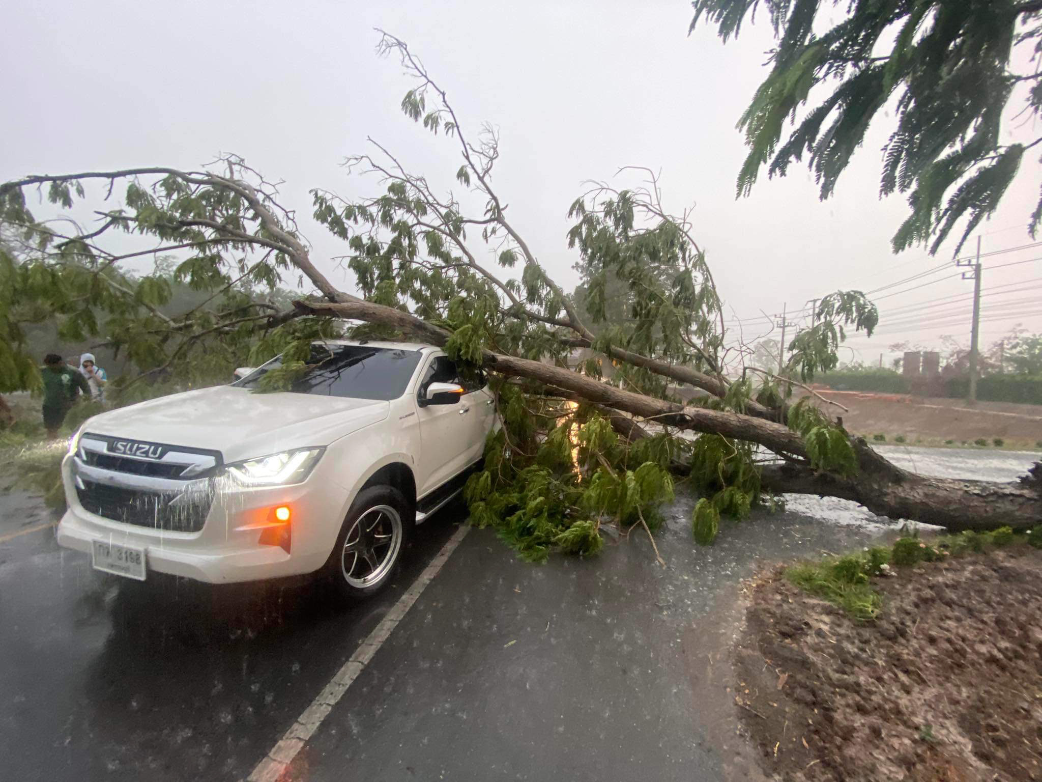 สุพรรณบุรี ฝนตกลมกระโชกพัดต้นไม้ใหญ่ริมถนนหลายสาย ล้มทับรถยนต์พังเสียหาย
