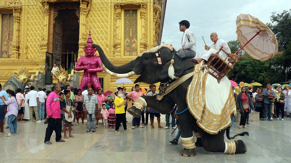 ราชบุรีจัดใหญ่ “ช้างแห่นาค” อุปสมบทหมู่ 18 รูป ถวายพระราชกุศลเฉลิมพระเกียรติในหลวง