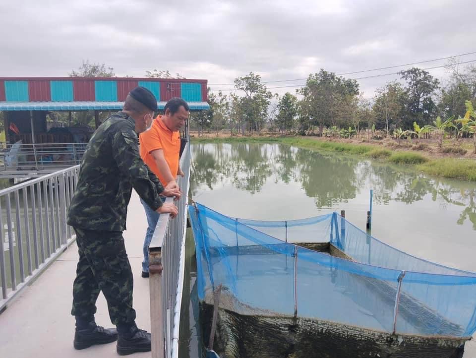 สุรินทร์ สำรวจพื้นที่เพื่อมอบพันธุ์ปลานิลจิตรลดาพระราชทานสร้างความมั่นคงด้านอาหาร และลดรายจ่ายในครัวเรือนปชช.